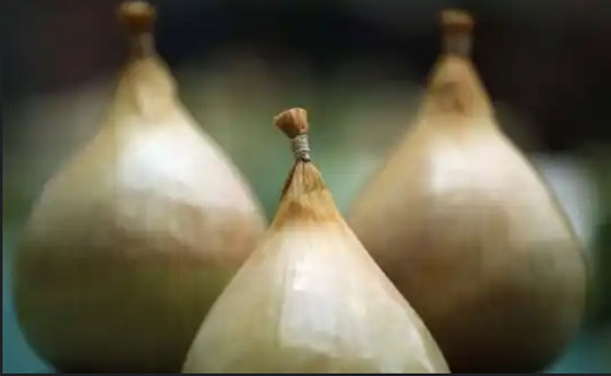 أغرب عمليات التهريب في المطارات ! صورة رقم 8