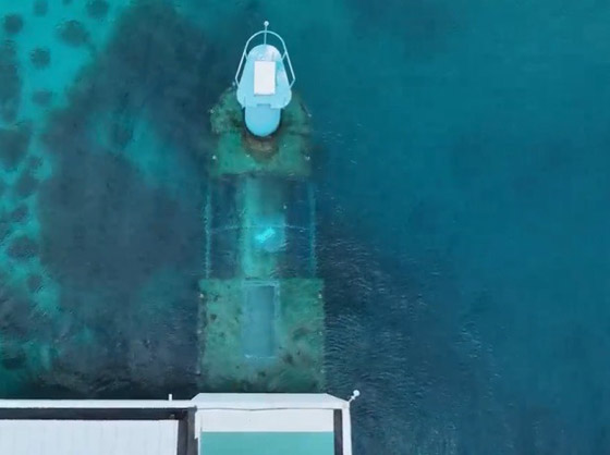 تعرف على أغلى فندق تحت الماء في العالم صورة رقم 2