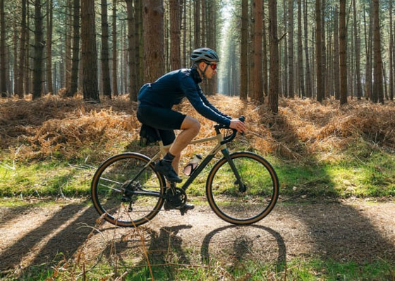 الذاكرة العضلية.. ما هي وكيف تساعد بحفاظك على لياقتك البدنية؟ صورة رقم 1