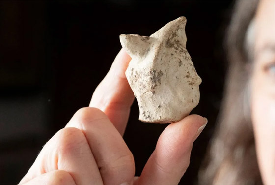 رأس تمثال خزفي نادر يكشف عن مستوطنة رومانية غير معروفة من قبل صورة رقم 4 رأس تمثال خزفي نادر يكشف عن مستوطنة رومانية غير معروفة من قبل صورة رقم 4