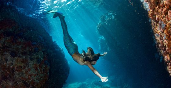 حوريات البحر.. أساطير وحقائق علمية عن البحار لم يجد العلماء لها تفسيرا صورة رقم 2