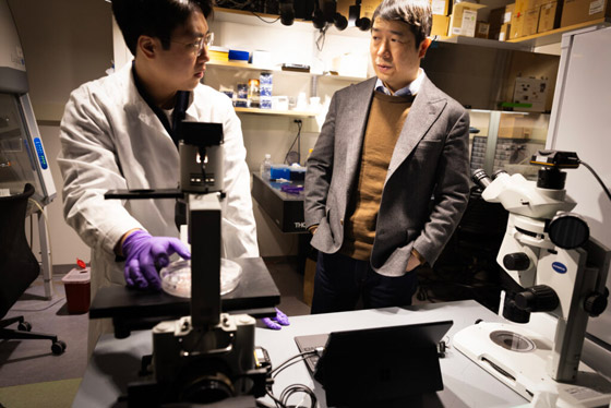 لأول مرة.. تطوير نموذج مصغر ثلاثي الأبعاد للجهاز العصبي البشري (فيديو) صورة رقم 2