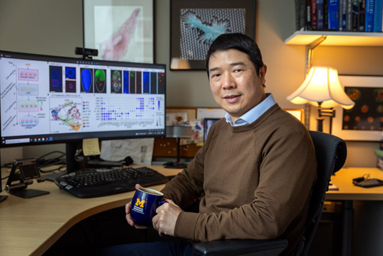 لأول مرة.. تطوير نموذج مصغر ثلاثي الأبعاد للجهاز العصبي البشري (فيديو) صورة رقم 8