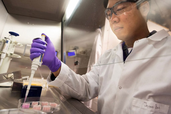 لأول مرة.. تطوير نموذج مصغر ثلاثي الأبعاد للجهاز العصبي البشري (فيديو) صورة رقم 10