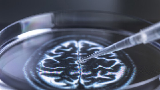 لأول مرة.. تطوير نموذج مصغر ثلاثي الأبعاد للجهاز العصبي البشري (فيديو) صورة رقم 12