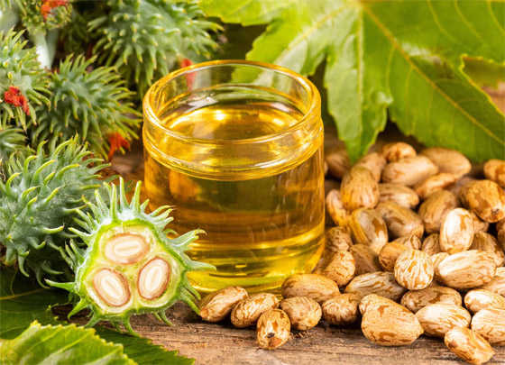 فوائد لفافة زيت الخروع لتخفيف الآلام صورة رقم 5