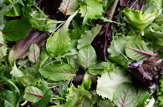 إياك غسل هذه المواد الغذائية قبل طهيها.. طبيب يكشف صورة رقم 2