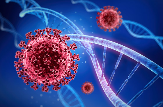 كورونا تسبب بنقص أعمار البشرية بعام ونصف! دراسة تكشف كيف أدى الفيروس لزيادة الوفيات صورة رقم 6 كورونا تسبب بنقص أعمار البشرية بعام ونصف! دراسة تكشف كيف أدى الفيروس لزيادة الوفيات صورة رقم 6