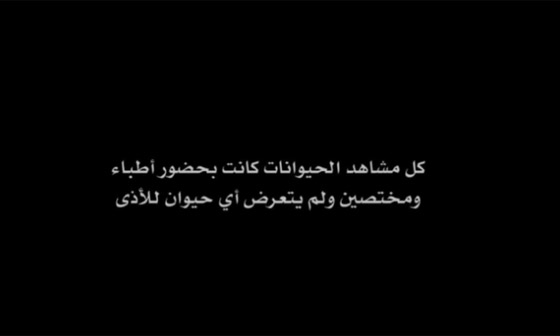 مسلسلات رمضان 2024 في فرفش بلس: (ولاد بديعة) يثير ضجة بإعدام القطط (فيديو) صورة رقم 1