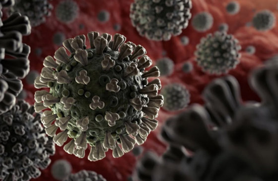 كورونا جعلت الناس أقل ذكاء.. دراسة صادمة تكشف صورة رقم 3