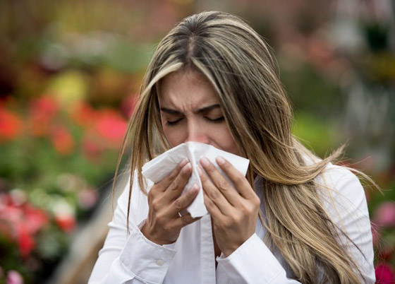 مع بدء فصل الربيع.. 8 طرق للوقاية من الحساسية الموسمية صورة رقم 4