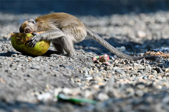 الصور الأكثر طرافة لأحداث هذا الأسبوع من مختلف أنحاء العالم صورة رقم 2 الصور الأكثر طرافة لأحداث هذا الأسبوع من مختلف أنحاء العالم صورة رقم 2