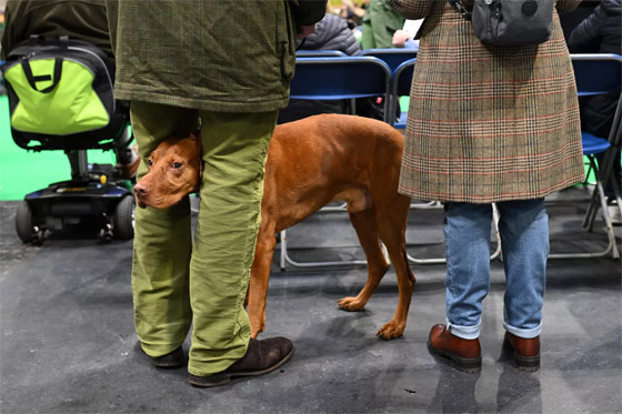 الصور الأكثر طرافة لأحداث هذا الأسبوع من مختلف أنحاء العالم صورة رقم 4 الصور الأكثر طرافة لأحداث هذا الأسبوع من مختلف أنحاء العالم صورة رقم 4