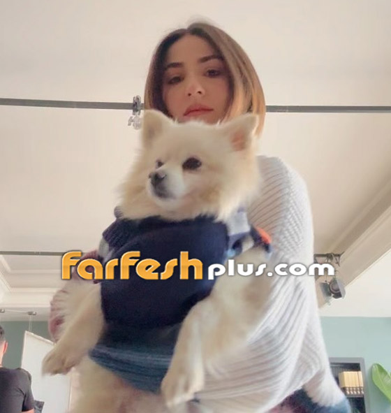 ‏مسلسلات رمضان 2024 في فرفش بلس: مغنية مغمورة تهزم إليسا بغناء مسلسل (ع أمل) صورة رقم 5