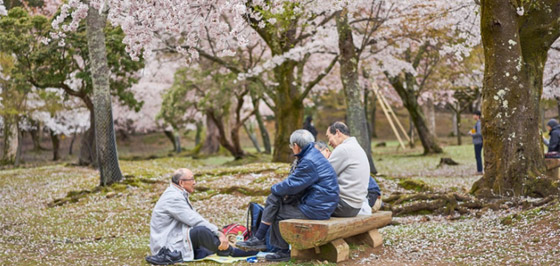 الشيخوخة تُجبر اليابانن على التوقف عن صنع حفاضات الأطفال وزيادة إنتاج حفاضات البالغين! صورة رقم 1