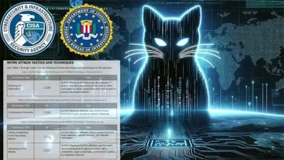 قصة (القطة السوداء) التي هزت أمريكا ومكافأة الـ10 ملايين دولار صورة رقم 1