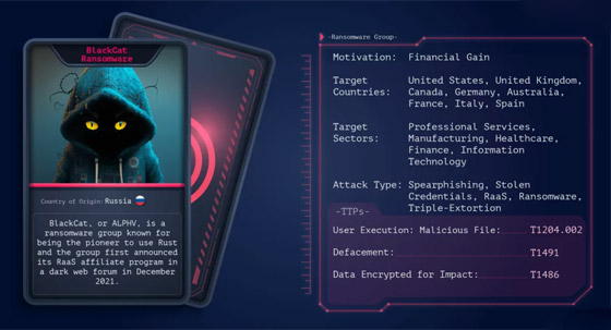 قصة (القطة السوداء) التي هزت أمريكا ومكافأة الـ10 ملايين دولار صورة رقم 2