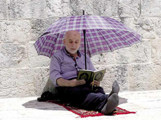 رمضان لن يأتي بالصيف إلا بعد 18 سنة.. خبير يطمئن (فيديو) صورة رقم 2 رمضان لن يأتي بالصيف إلا بعد 18 سنة.. خبير يطمئن (فيديو) صورة رقم 2