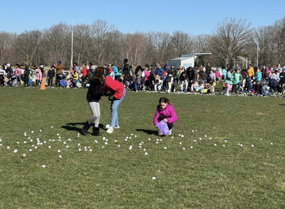 مشهد غير اعتيادي.. المارشملو تتساقط في سماء ديترويت صورة رقم 3