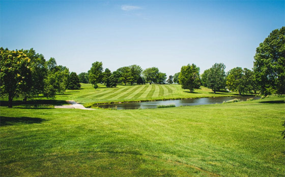 غالواي الأيرلندية وجهة سياحية جديرة بالاستكشاف في غرب أوروبا صورة رقم 6