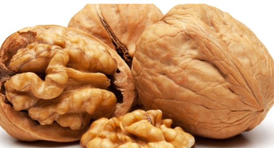 المكسرات الممنوعة في رمضان ولماذا ؟ صورة رقم 2