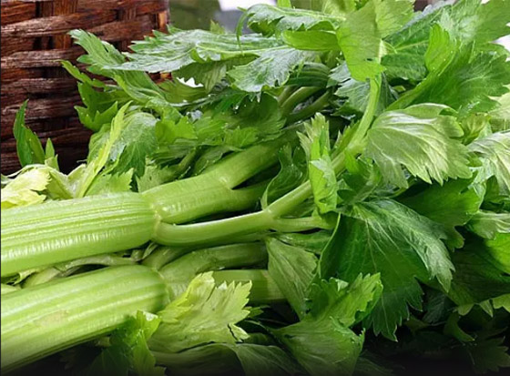 6 فوائد صحية لشرب عصير الكرفس في الصيف صورة رقم 2