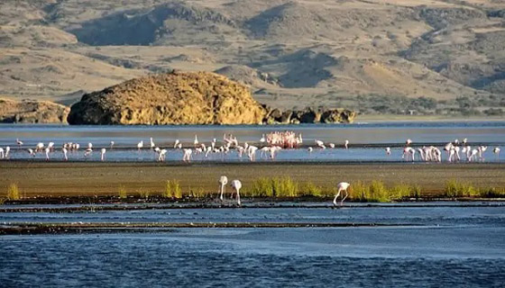 تعرف على 7 من أكثر الأماكن خطورة في العالم.. بعضها مفتوح لمحبي المغامرة صورة رقم 3