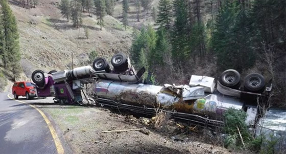 صور: نجاة 77 ألف سمكة سلمون بعد انقلاب شاحنة كانت محملة بها صورة رقم 3 صور: نجاة 77 ألف سمكة سلمون بعد انقلاب شاحنة كانت محملة بها صورة رقم 3