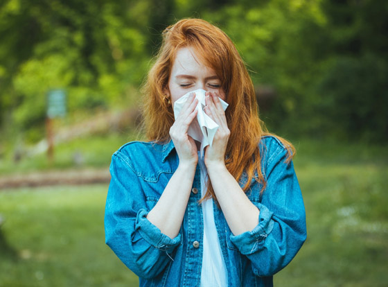 تعاني من الحساسية خلال فصل الربيع؟ إليك 5 أعشاب تساعد بالتقليل من أعراضها صورة رقم 1