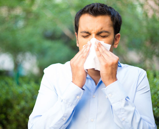 تعاني من الحساسية خلال فصل الربيع؟ إليك 5 أعشاب تساعد بالتقليل من أعراضها صورة رقم 2