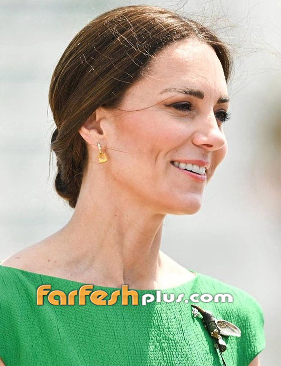 بعيدا عن الشائعات.. أميرة ويلز كيت ميدلتون وأسرار جمالها الملكي (صور) صورة رقم 14