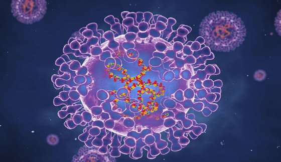 خطر وبائي.. اكتشاف سلالة متحورة من فيروس جدري القرود! صورة رقم 1