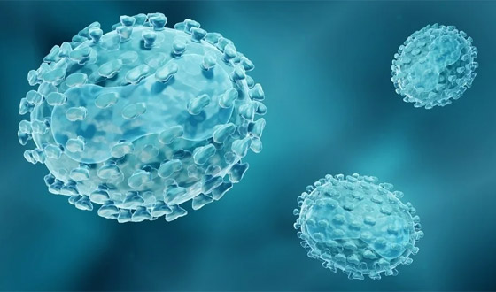 خطر وبائي.. اكتشاف سلالة متحورة من فيروس جدري القرود! صورة رقم 4