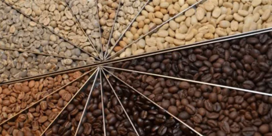 أغرب حبوب البن التي تُصنع منها القهوة في العالم! صورة رقم 1