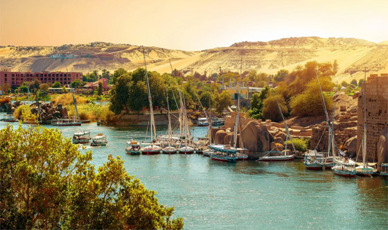 أسوان وجهة سياحية غنية بالمعالم الأثرية الجاذبة لعشاق التاريخ صورة رقم 8