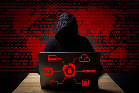 إليكم 15 حقيقة مرعبة عن شبكة الويب المظلم (دارك ويب).. فيديو صورة رقم 5