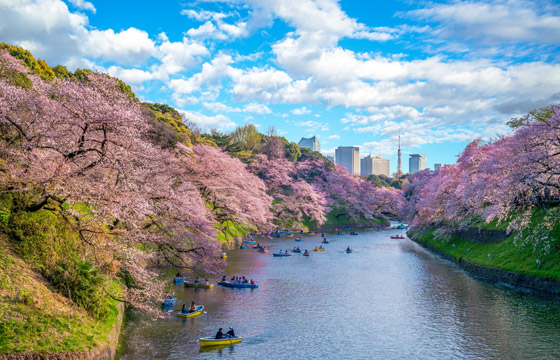 صور: إجازة ربيعية غنية بالعناوين السياحية الخاصة بعشاق الطبيعة صورة رقم 4
