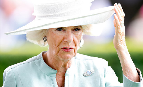 أولها الملكة إليزابيث.. أسرار اختيار المجوهرات الشخصية بالعائلة المالكة البريطانية صورة رقم 11