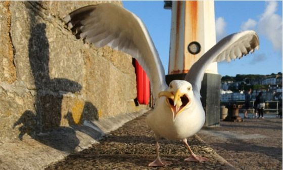 بريطانيا تواجه أكبر تهديد أمني من 