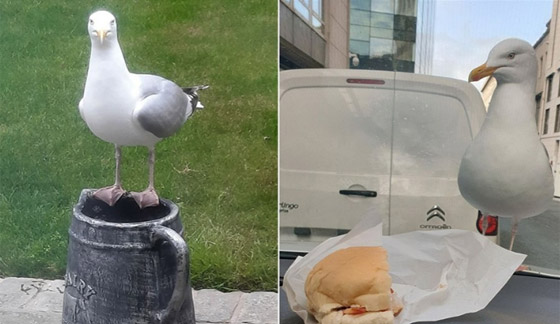 بريطانيا تواجه أكبر تهديد أمني من 