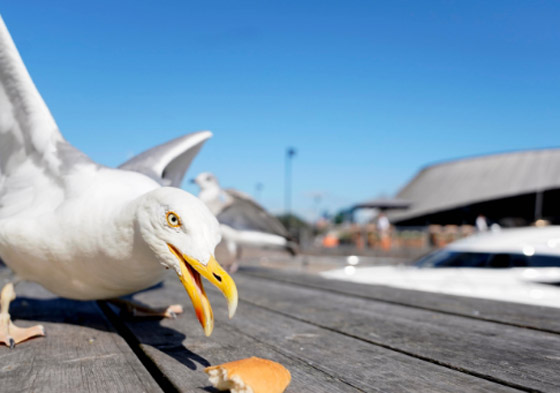 بريطانيا تواجه أكبر تهديد أمني من 