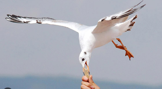 بريطانيا تواجه أكبر تهديد أمني من 