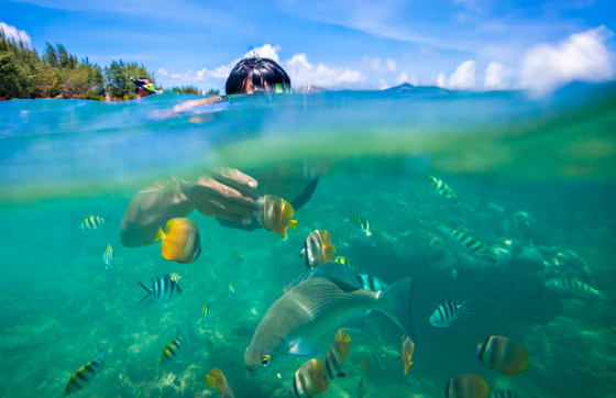 جزيرة جيلي تراوانجان وجهة سياحية جذابة للزوجين الباحثين عن العزلة صورة رقم 3