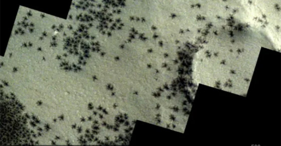 صورة.. ما سر ظهور 