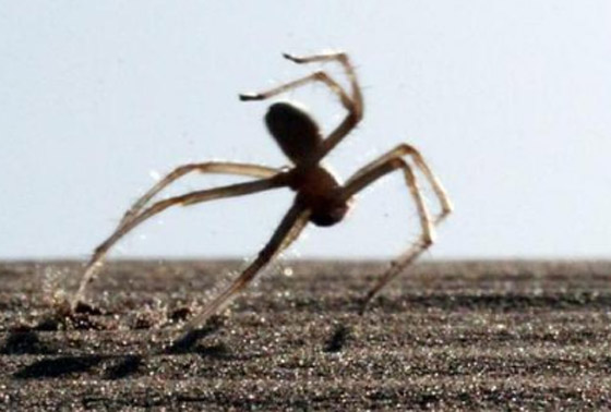 صورة.. ما سر ظهور 