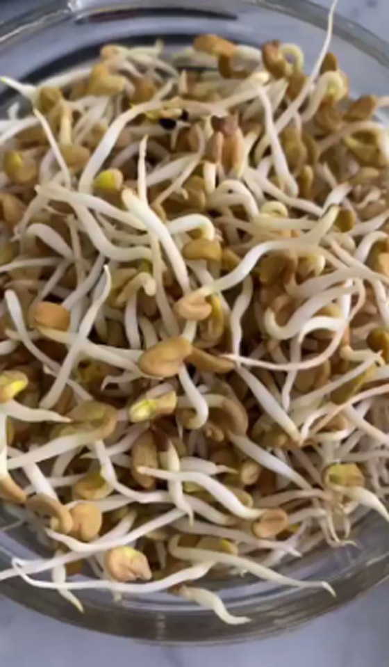 اعرف أهمية وفوائد براعم الحلبة.. طريقة زراعتها منزليا صورة رقم 5