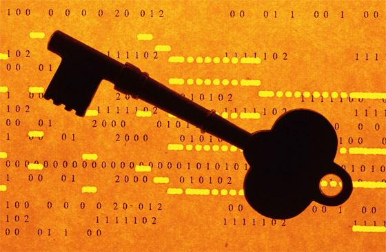 في اليوم العالمي لكلمات المرور.. 5 نصائح لحماية بيانات شركتك صورة رقم 7