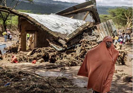  الفيضانات تقتلع شجرة عمرها 800 عام في كينيا! صورة رقم 1