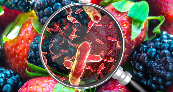 متى تزول أعراض التسمم الغذائي؟ وكيف تتصرفون لعلاجها؟ صورة رقم 8