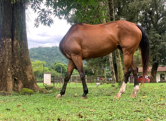 لقطات طريفة مدهشة لحيوانات أليفة في مسابقة 